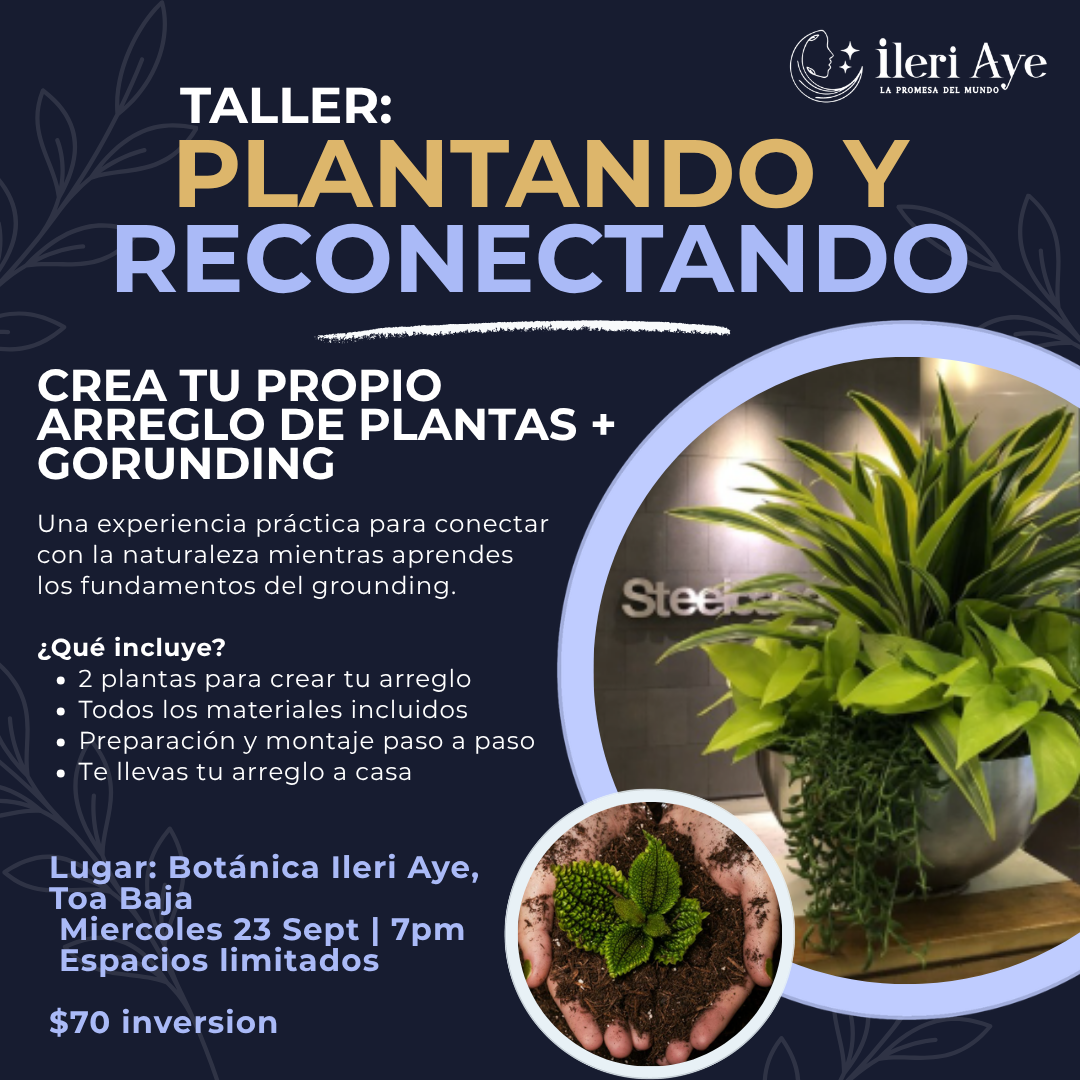 Taller: Plantando y recoenctando | Grounding, plantas, conexion, comunidad