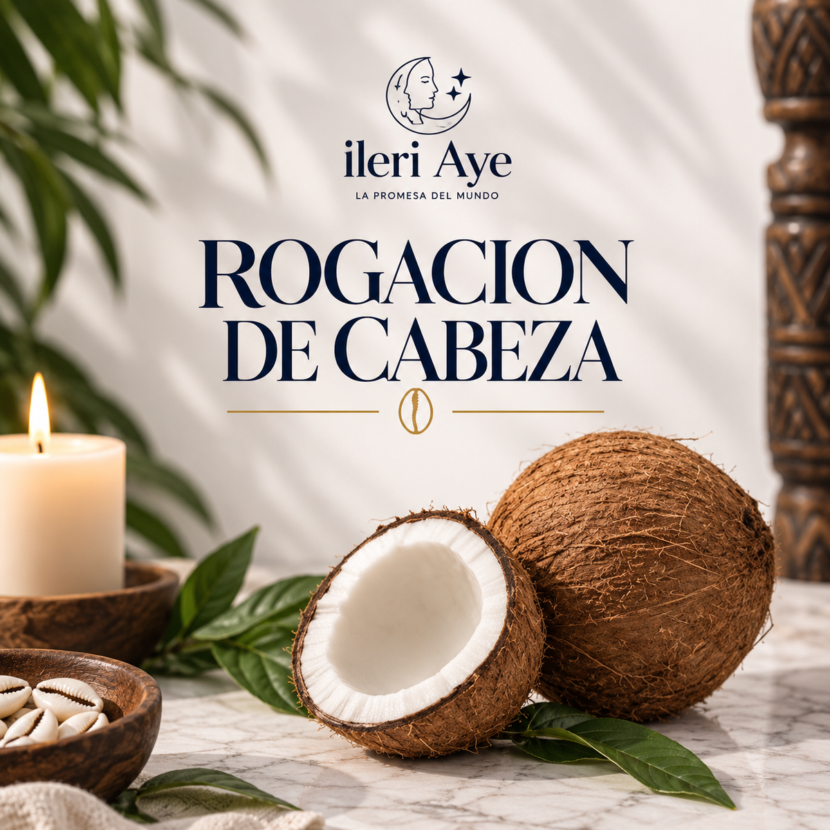Rogacion de cabeza | Servicio