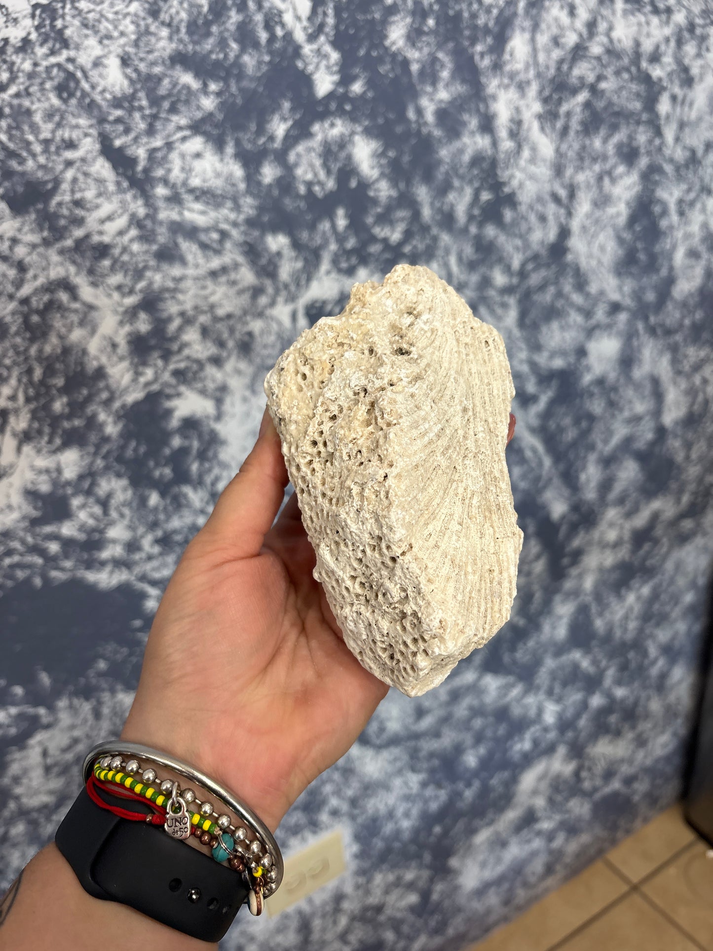 Piedra porosa | cerebrito