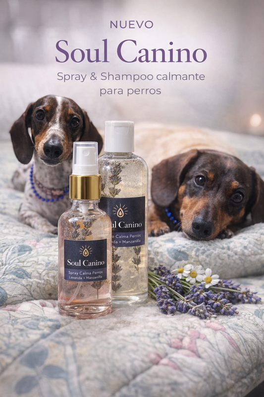 Shampoo y Spray Soul Canino