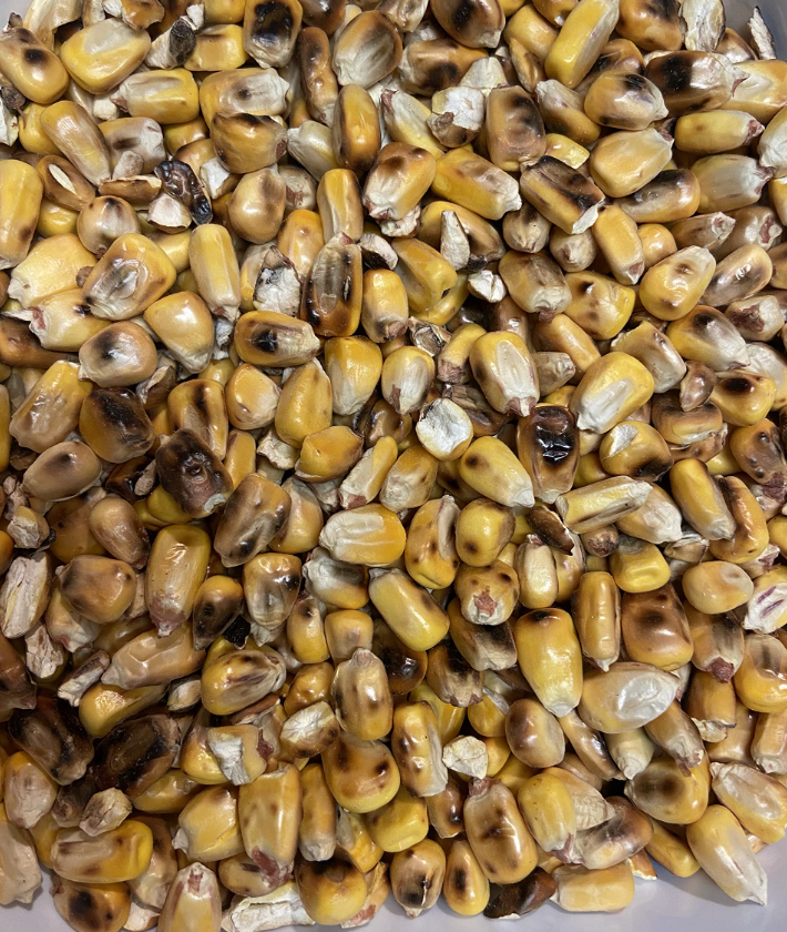 Maiz Tostado 1 libra