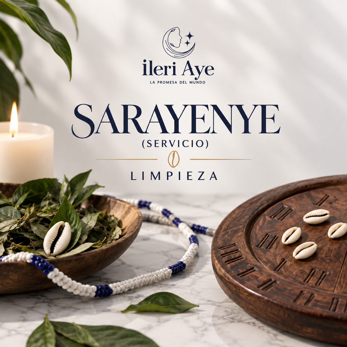 sarayenye - Servicio de limpieza
