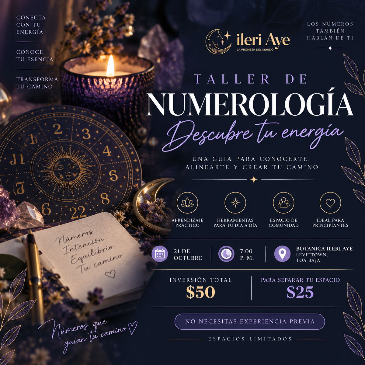 Taller: Numerologia | SEPARACION DE ESPACIO (Costo total $50)