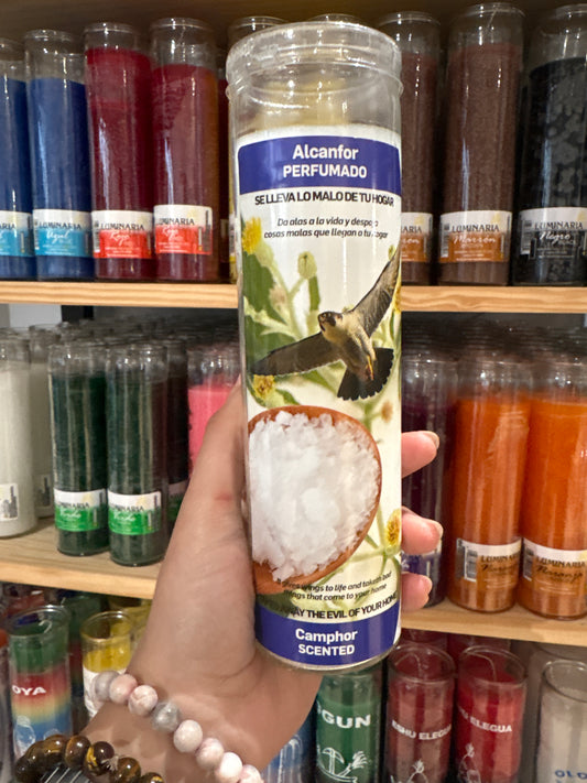 Vela aromatica | Alcanfort