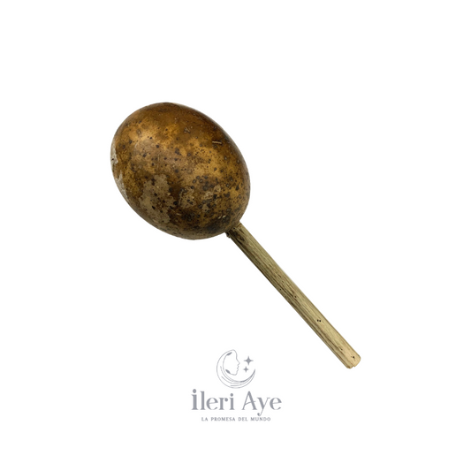 Maraca plain