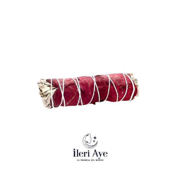 SAGE Red Rose Petals & White  4