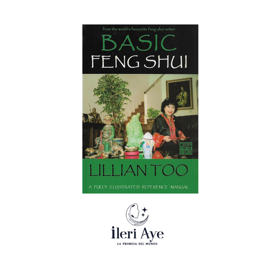 basic feng shui - libro
