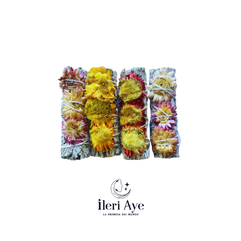 Sage flores multicolor